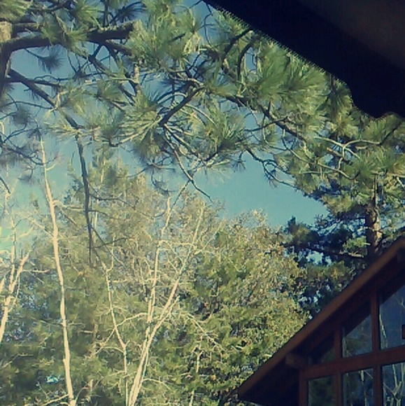 Meet your Posher, Kati - Picture 1 of 1